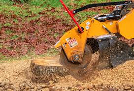 Best Fruit Tree Pruning  in La Ada Flintridge, CA
